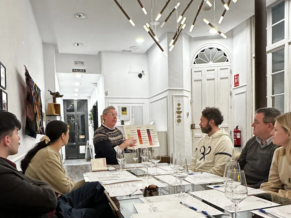 Clase de cata de vinos en grupo en Vinaliti, con guía sensorial y copas sobre la mesa